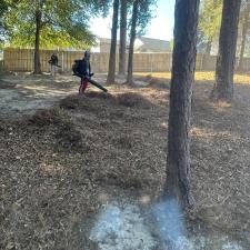 Yard-Overgrown-Reclaim-Your-Paradise-Zion-Landscaping-Services-LLC-in-Destin-FL 0